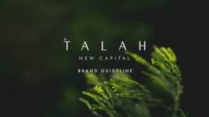 كمبوند طلة العاصمة الادارية