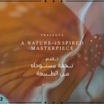 مشروع شركة مدينة مصر المستقبل سيتي